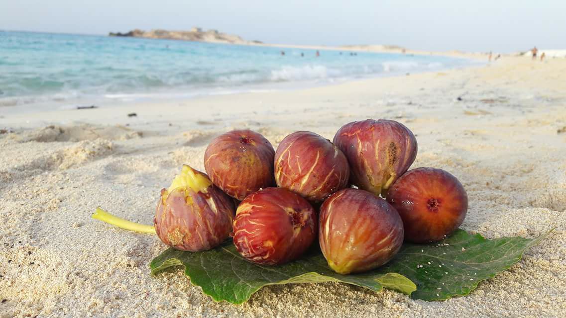 Matrouh Figs (Sultani Figs)